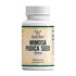 Double Wood Mimosa Pudica Seed Supplement | 120 High Strength Mimosa Pudica Capsules - 1000mg per Serving | Mimosa Pudica Seed Extract 10:1 | Non-GMO & Gluten Free (120 Capsules)
